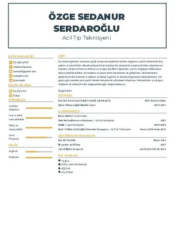 Acil Tıp Teknisyeni CV Örnekleri cv indir